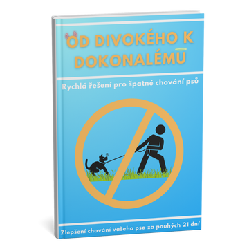 Dokonalý průvodce pro nové majitele psů: vychovejte dobře vychovaného psa od prvního dne.